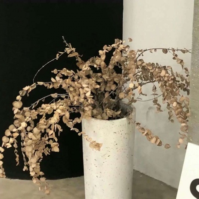 Furry插画风格探索福瑞群